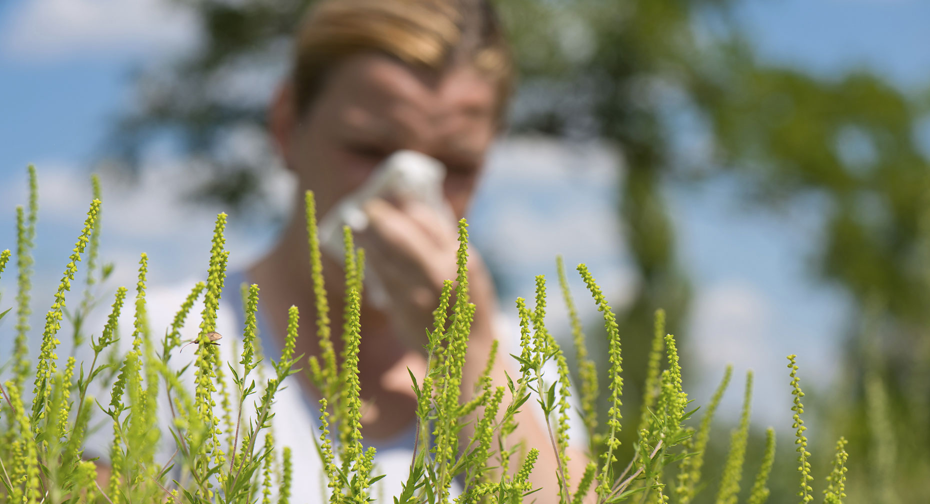 How To Know If You Have Seasonal Allergies Premier Health   P W Wmn53245 Seasonal Outdoor Lg 