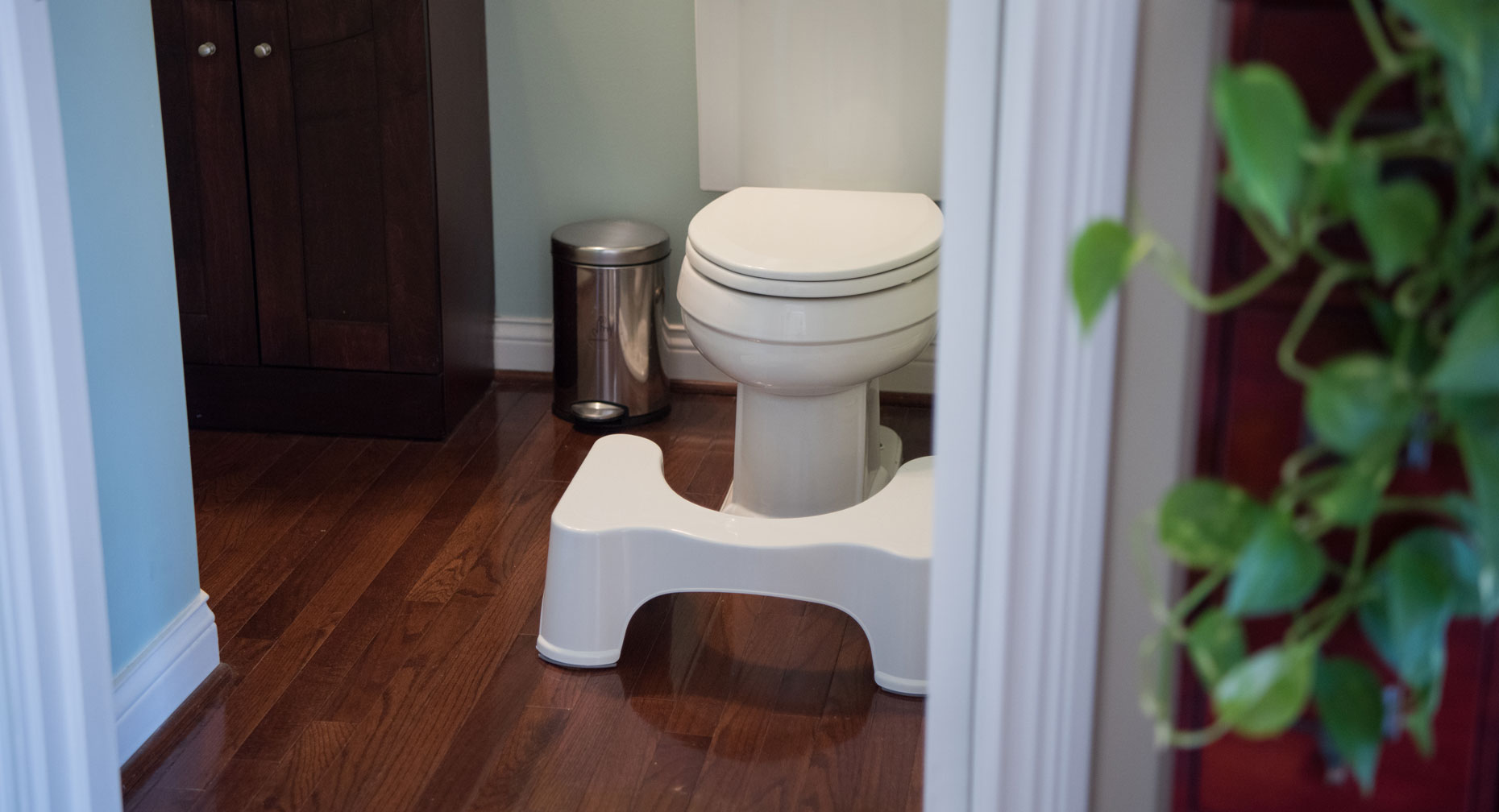 Squatty Potty :)