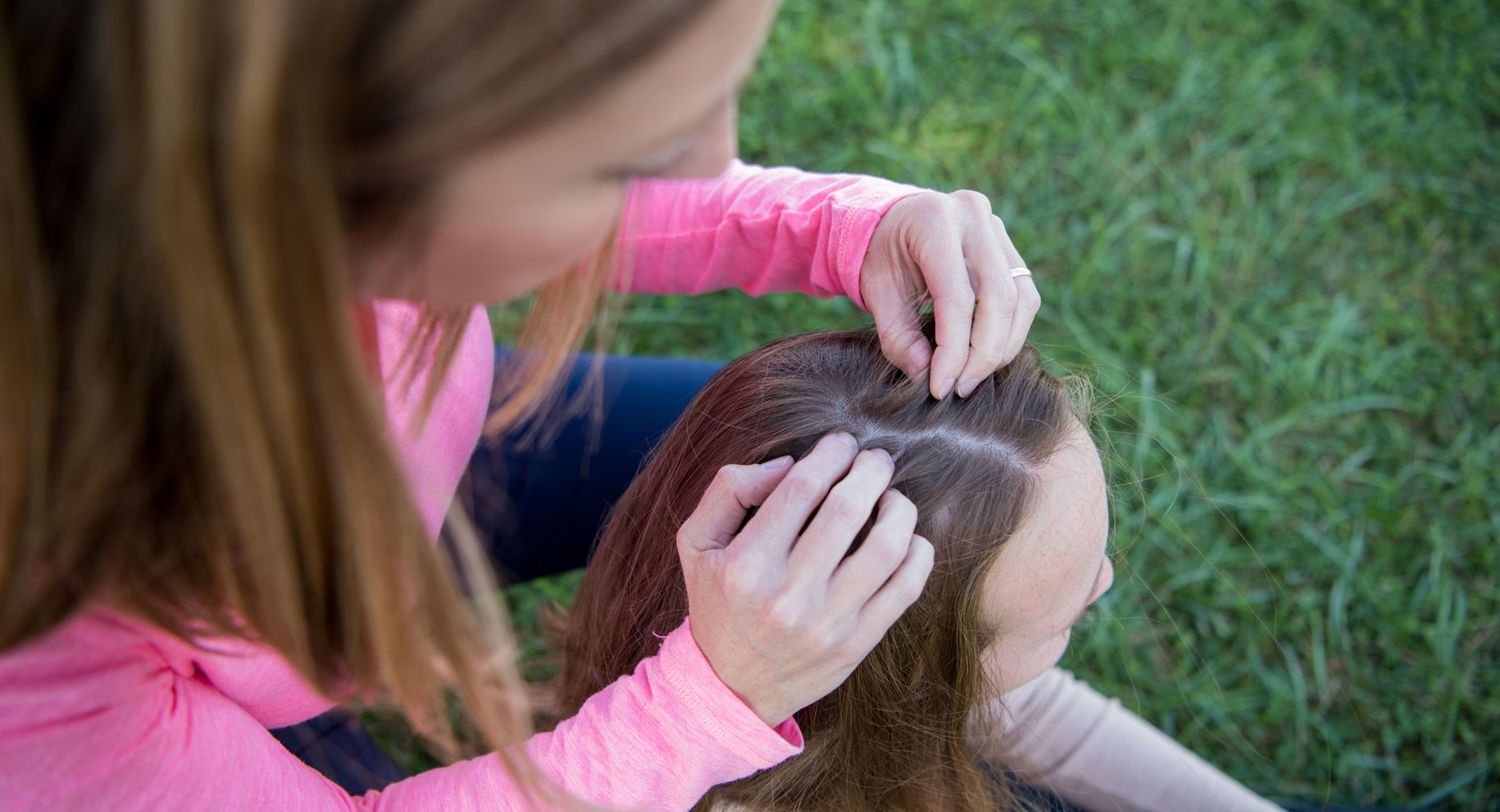 little-bug-dangerous-bite-avoiding-ticks-and-lyme-disease-premier